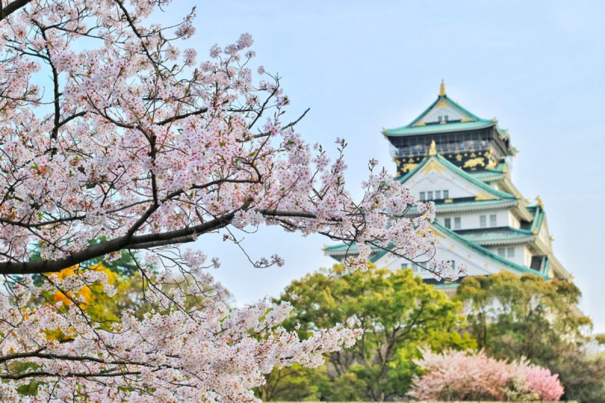 Over 70% of Japan's Accommodations Face Staff Shortages Amid Tourism Boom