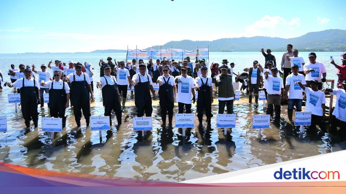 PT Freeport Indonesia Commits to Planting 2,000 Hectares of Mangroves in NTB