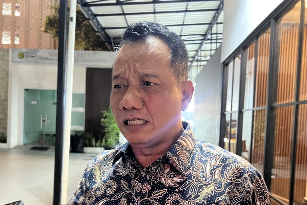 ESDM grants additional coal production quota for PLN's needs