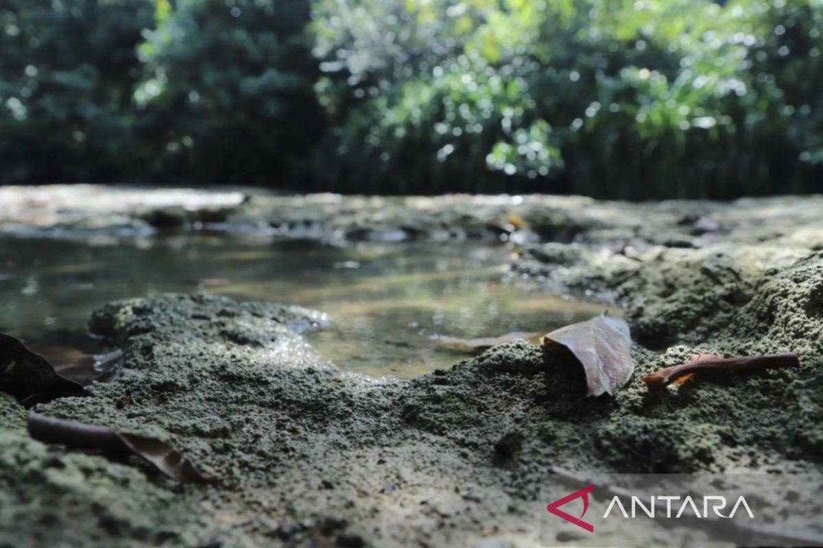Dumaring Geosite becomes national model for ancient karst conservation