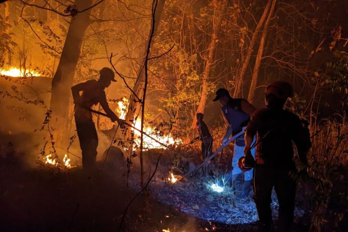 BNPB: Forest and land fire emergency alert in Ponorogo active until November