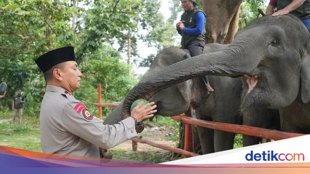 Riau Police Chief Visits Minas Elephant Training Centre, Urges Stronger Conservation Efforts