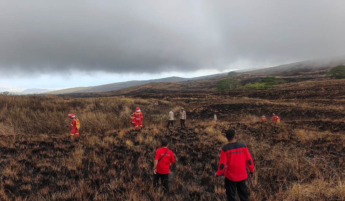 Tambora National Park Savanna Fire Expands, Firefighting Efforts Continue