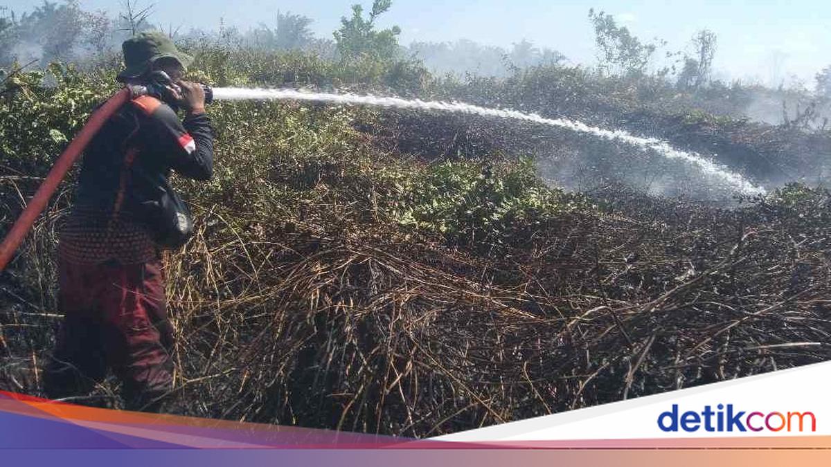 Forest and Land Fires in West Kotawaringin: Eight Hectares Scorched in Two Days