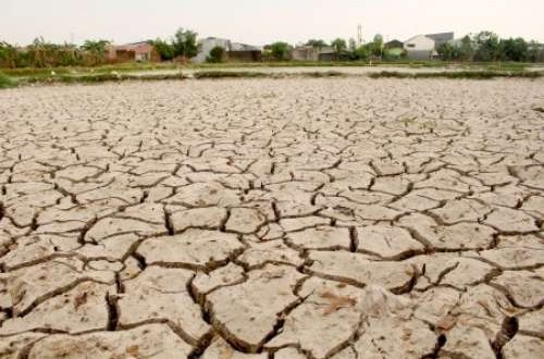 14 Districts in Central Java Begin to Face Drought