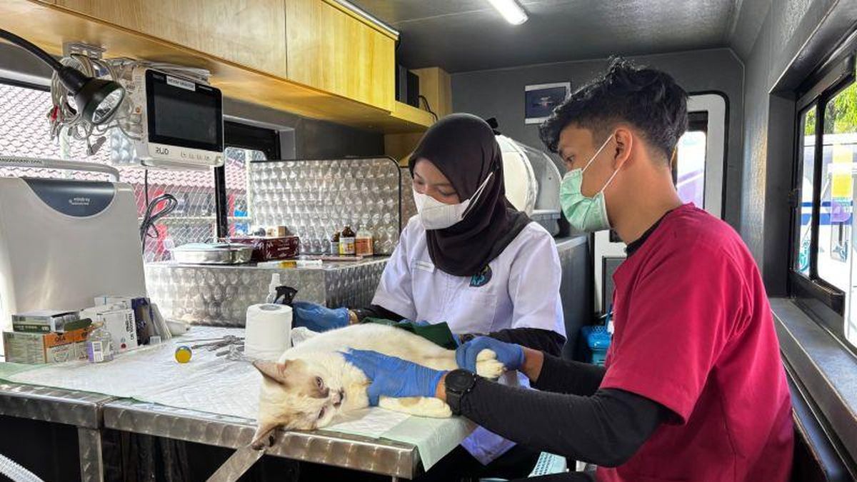 DKI Deploys 5 Mobile Veterinary Clinics Across Five City Regions