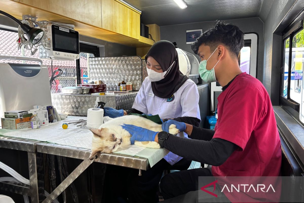 Jakarta rolls out mobile vet clinics, allocates Rp300 billion for flood mitigation land acquisition
