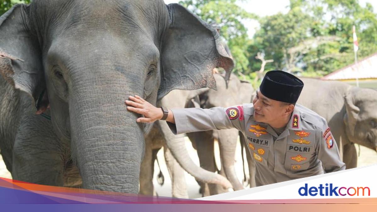 Supporting Prabowo's Decree, Riau Police Commit to Elephant Conservation Through Green Policing
