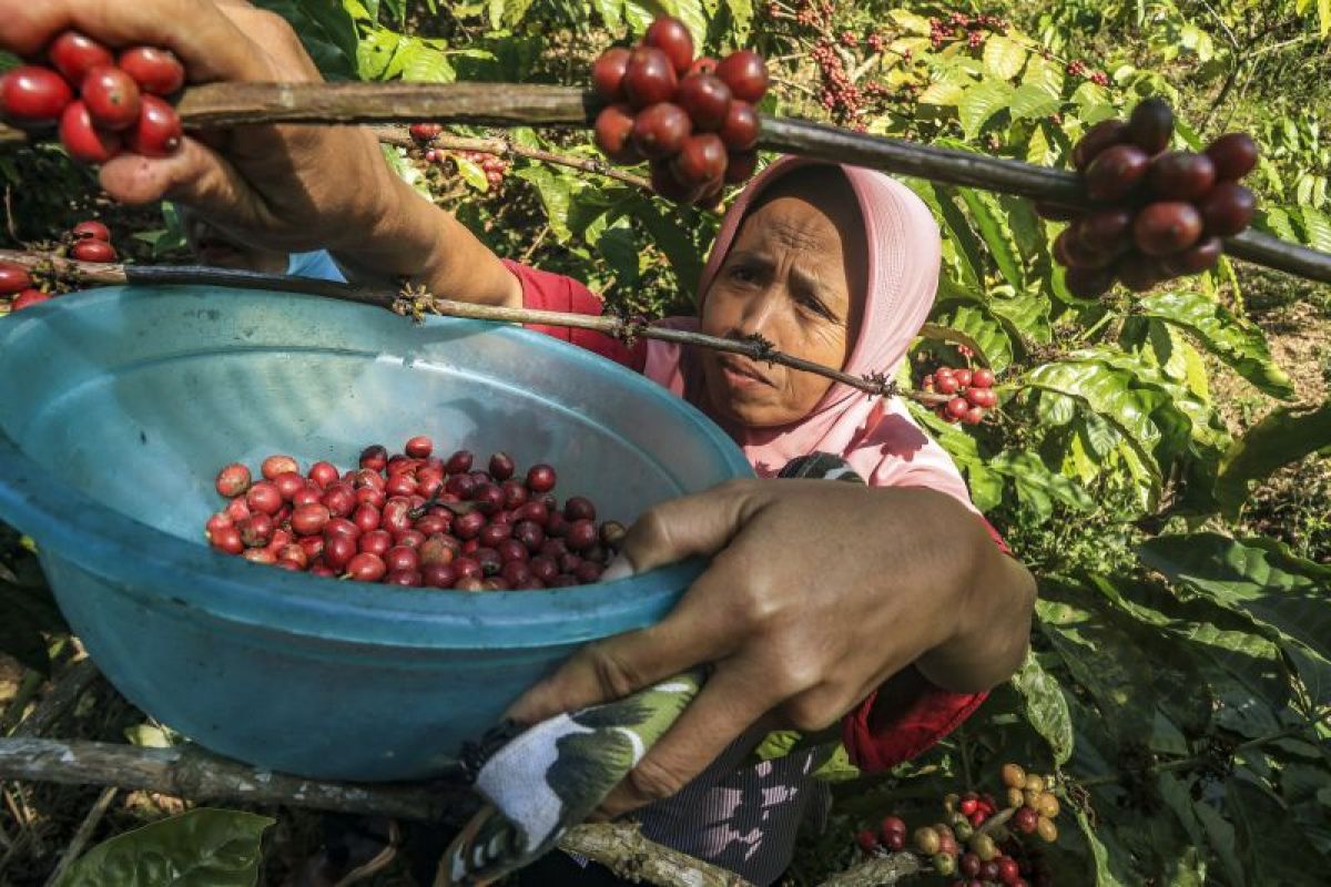 DIY Regional Government: Gunungkidul Has Potential to Develop Tourism and Leading Commodities