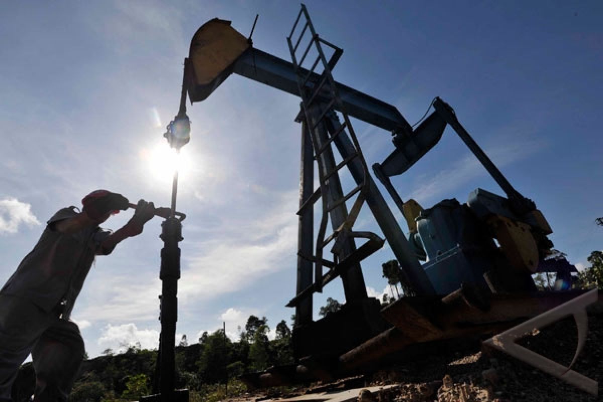 APMI Backs Idle Well Reactivation to Boost Oil and Gas Output