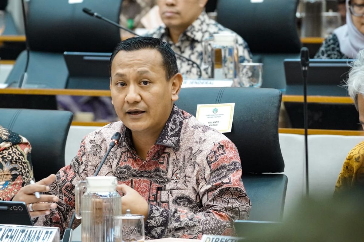 Deputy Forestry Minister: Social Forestry Programme Proposed as National Strategic Project