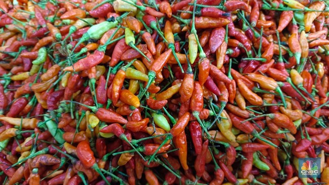 Chilli Consumption Drops by Tens of Thousands of Tonnes: Are Indonesian Taste Buds Changing?