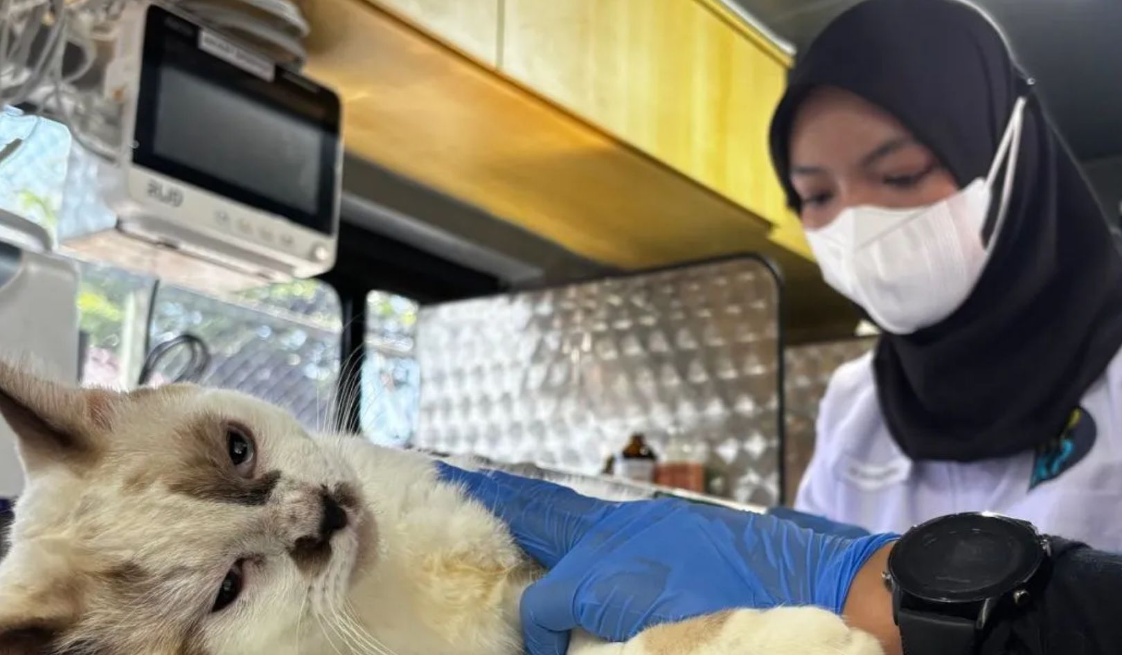DKI Jakarta DPRD Applauds Mobile Animal Clinic Launch, Sees Progress Towards Animal-Friendly City