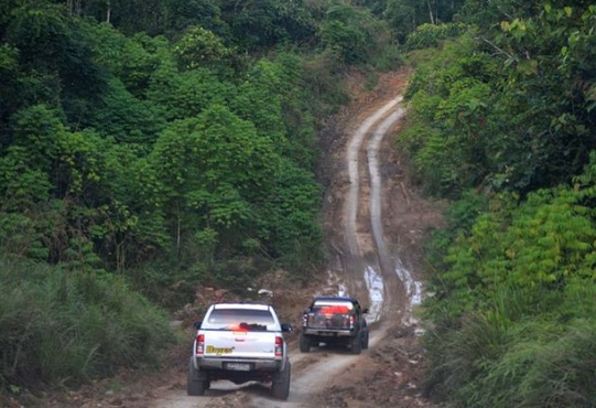 Strengthening Carbon Trade Governance, Experts Highlight Forestry Minister's Role