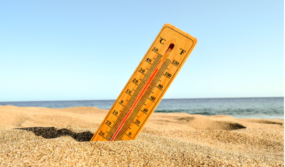 Can Climate Change Cause Direct Death? Check the Facts