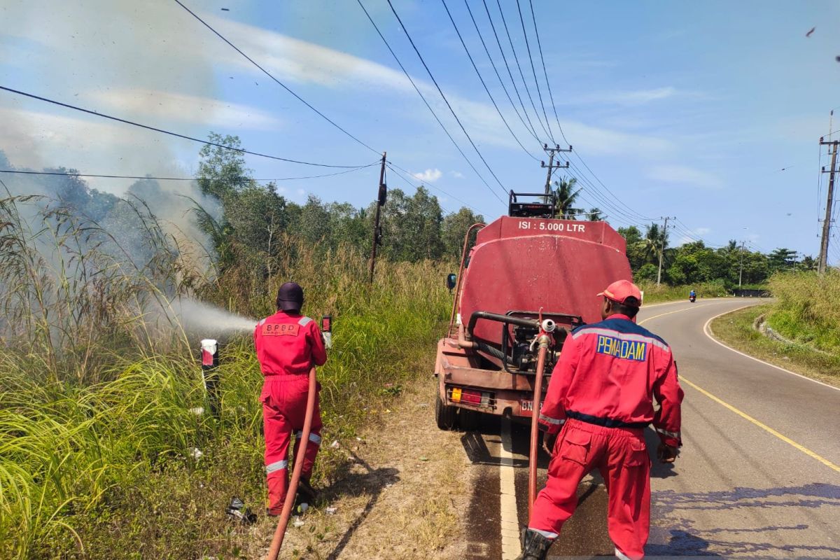 Belitung Firefighters Successfully Extinguish One-Hectare Land Fire