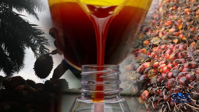 Bahlil's Policy Rescues Global CPO Prices, Indonesia Can Breathe Easy