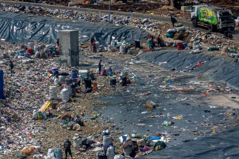 Environmental Conservation Professor Introduces Bacteria and Fungi Innovation to Degrade Polyethylene Plastic Waste
