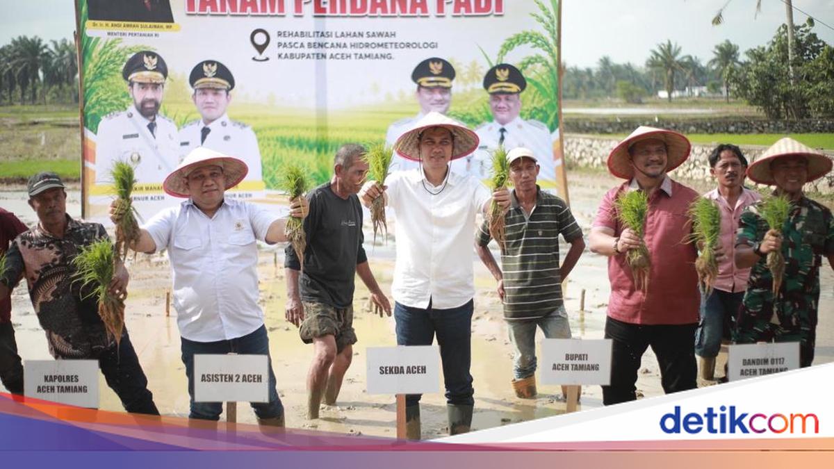 Aceh's Agricultural Land Replanted, Regional Secretary Applauds PRR Task Force