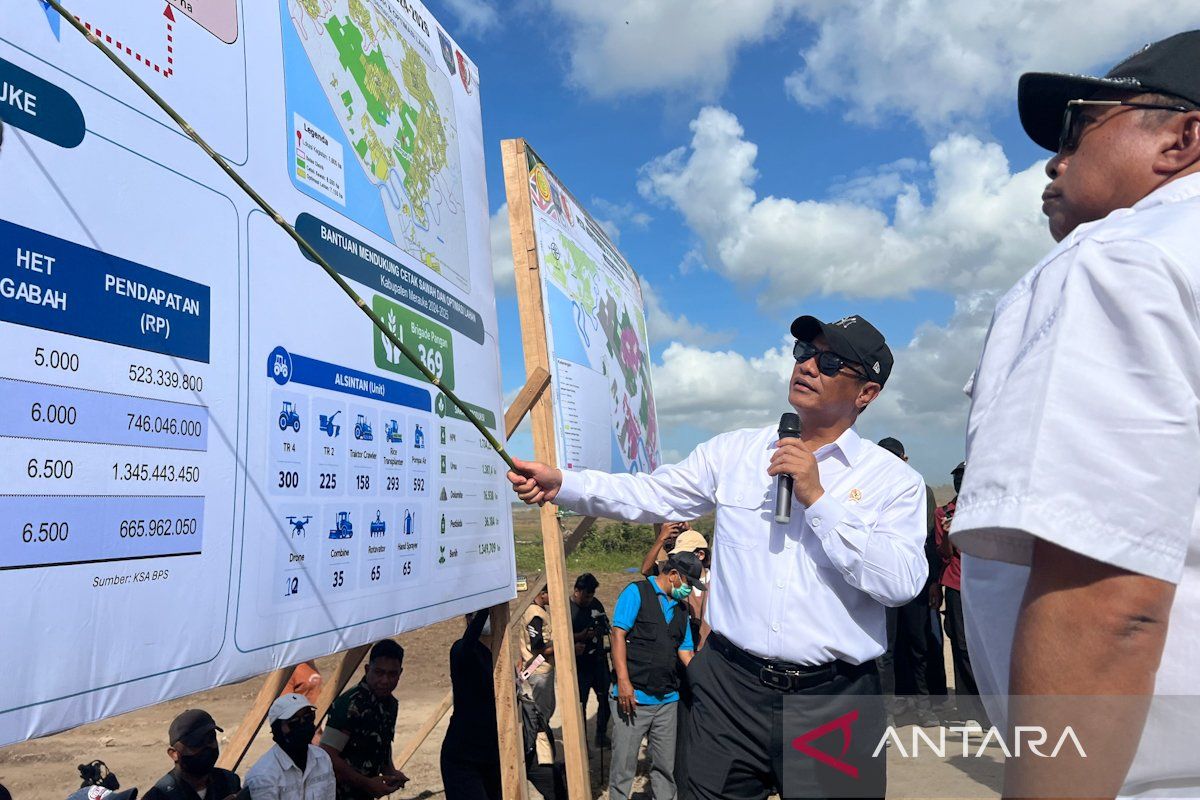 Govt plans bigger agriculture budget for Papua