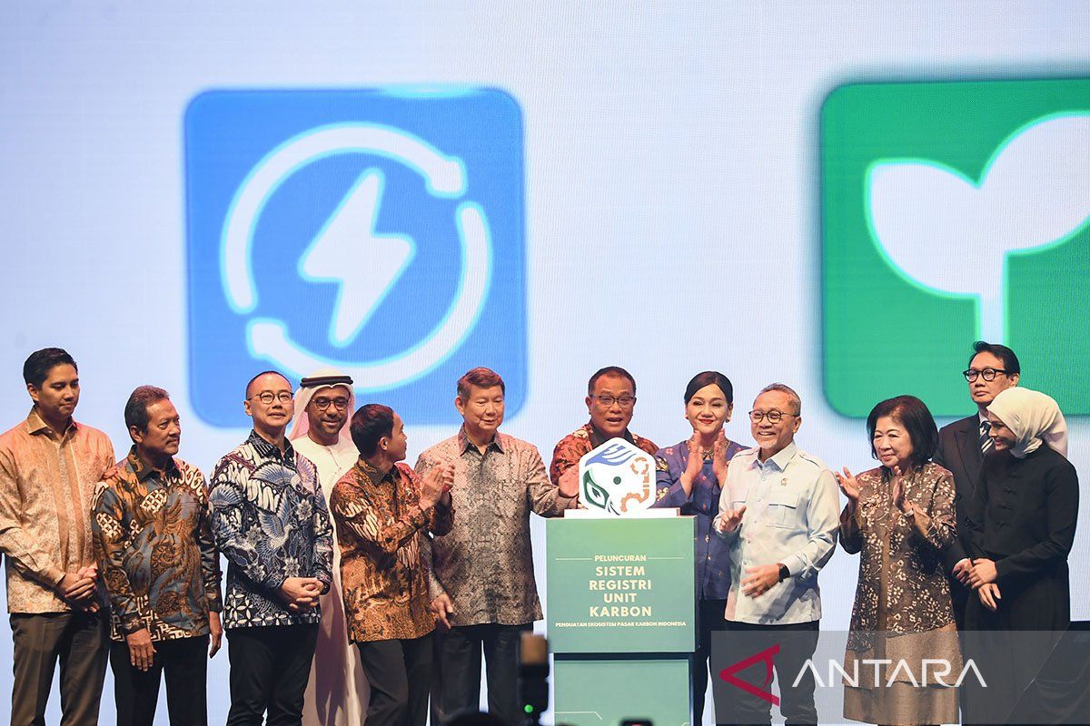 Indonesia carbon trading reforms restore investor trust
