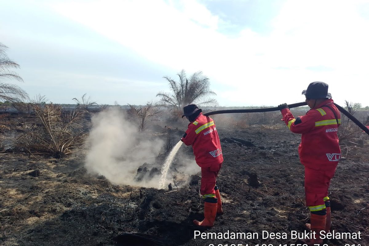 Forestry Ministry contains 7-ha fire in Riau as cooling continues