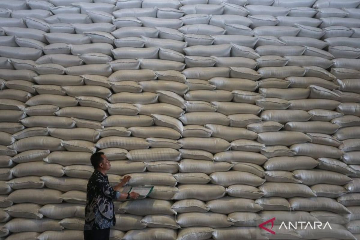 Indef urges Indonesia to broaden food reserves for El Nino