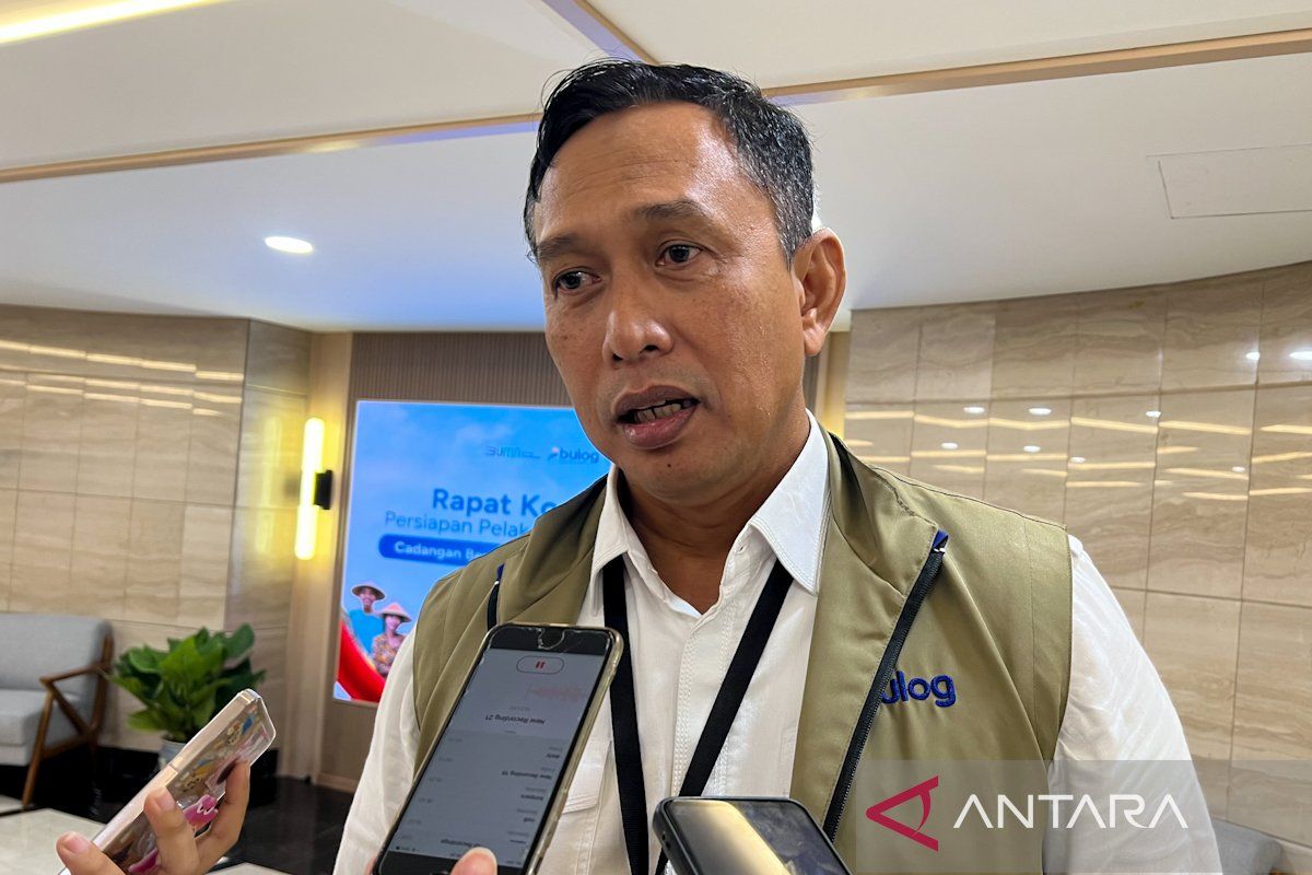Bulog CEO: Rice equivalent grain absorption surpasses 3.2 million tonnes
