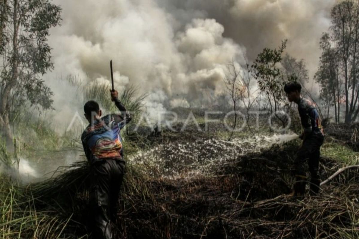Central Kalimantan optimises ground and air firefighting to tackle forest and land fires