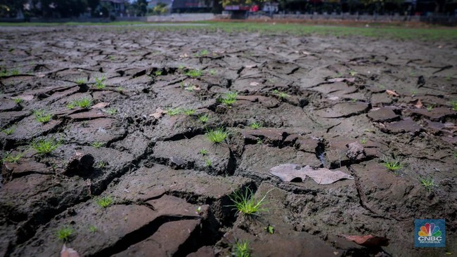 BMKG Issues Warning for 10 Districts in NTB as Drought and El Niño Intensify