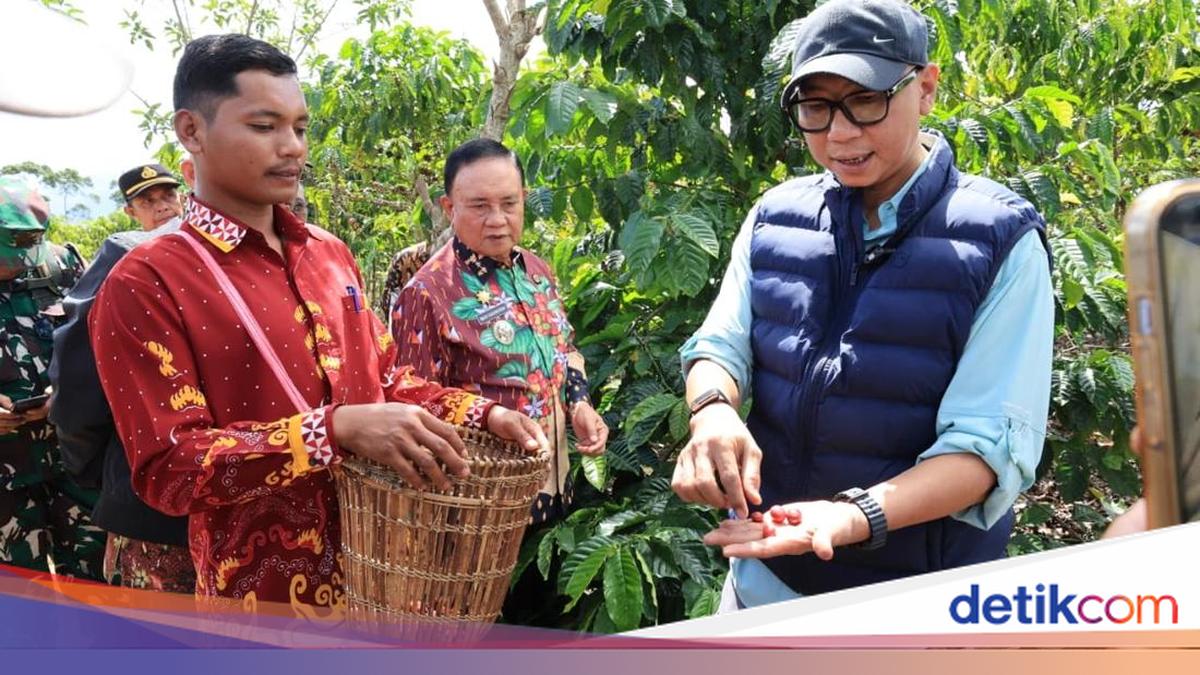Lampung Governor Introduces Biofertiliser to Boost Coffee Productivity