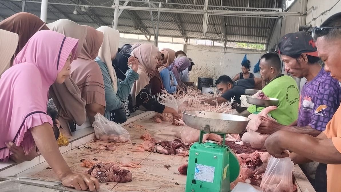 MBG Programme Resumes, Chicken Meat Prices in Medan Soar