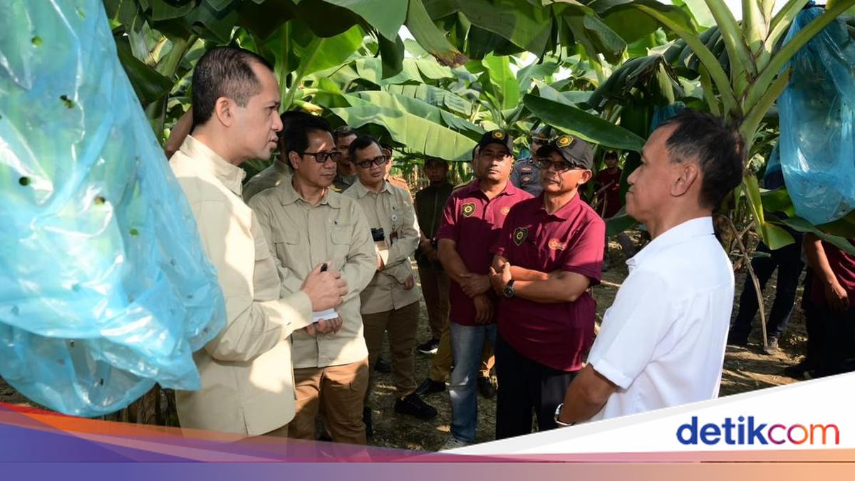 Transmigration Minister Iftitah Promotes Superior Commodities to Strengthen National Food Security