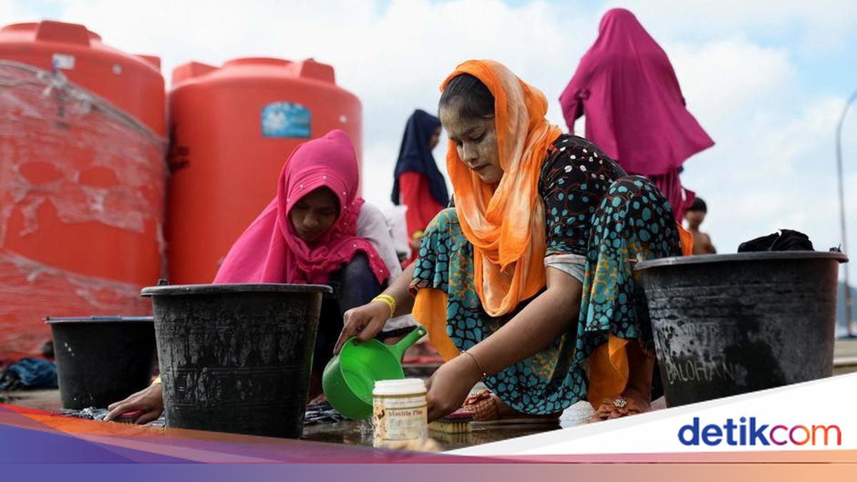 Funding Cuts Paralyse Women's Organisations Amid Soaring Humanitarian Needs