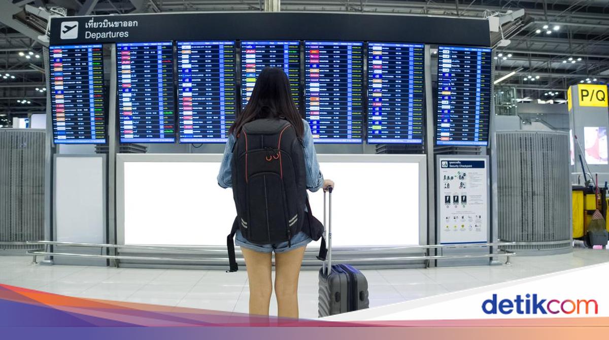 Constitutional Court Justice on Flight Delay Compensation: 'Unfair if Only Light Snacks'