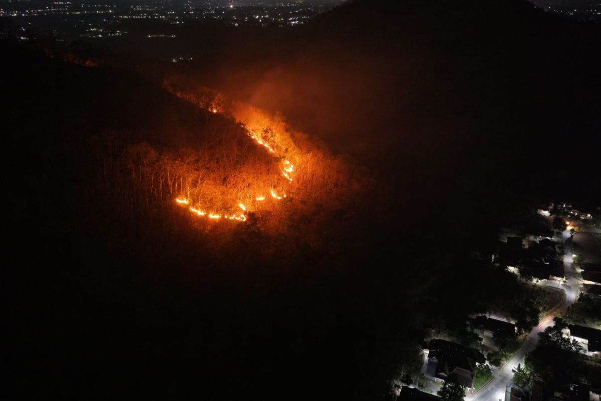 Forest fire on Mount Gombak in Ponorogo scorches 15 hectares