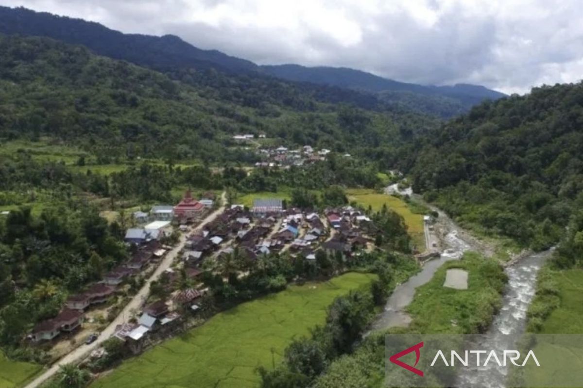 Jambi supports social forestry's inclusion in National Strategic Programme to alleviate poverty