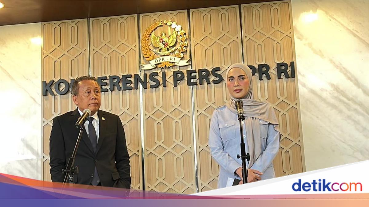 DPR's Saan on Special Body Proposal in Asset Forfeiture Bill: All Will Be Considered