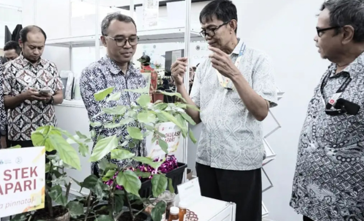 BRIN Develops Malapari as Feedstock for Biodiesel and SAF from Critical Land