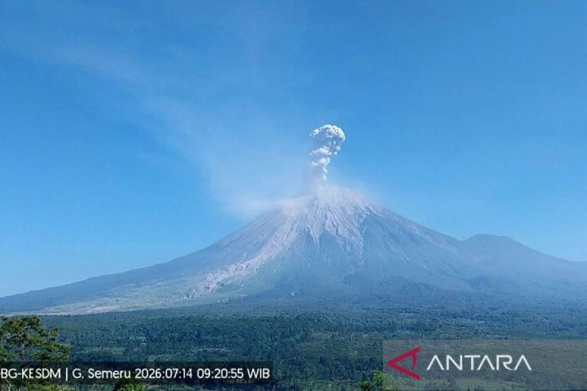 Mount Semeru Eruption Column Reaches 1.3 km Above Peak