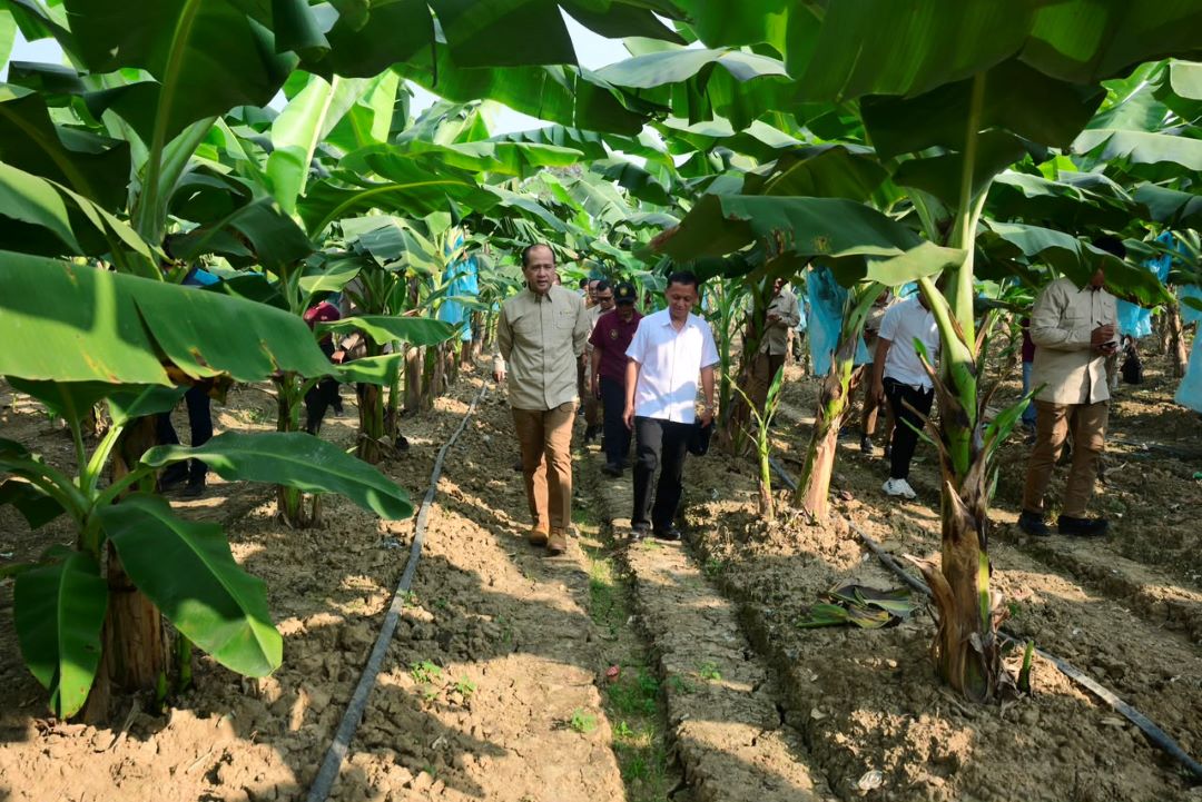 Regional Superior Commodities to Strengthen Food Self-Sufficiency