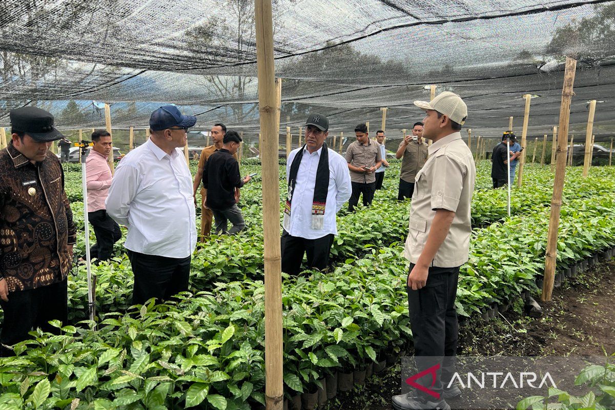 Minister Amran adds 17 million coffee seedlings to boost Aceh production
