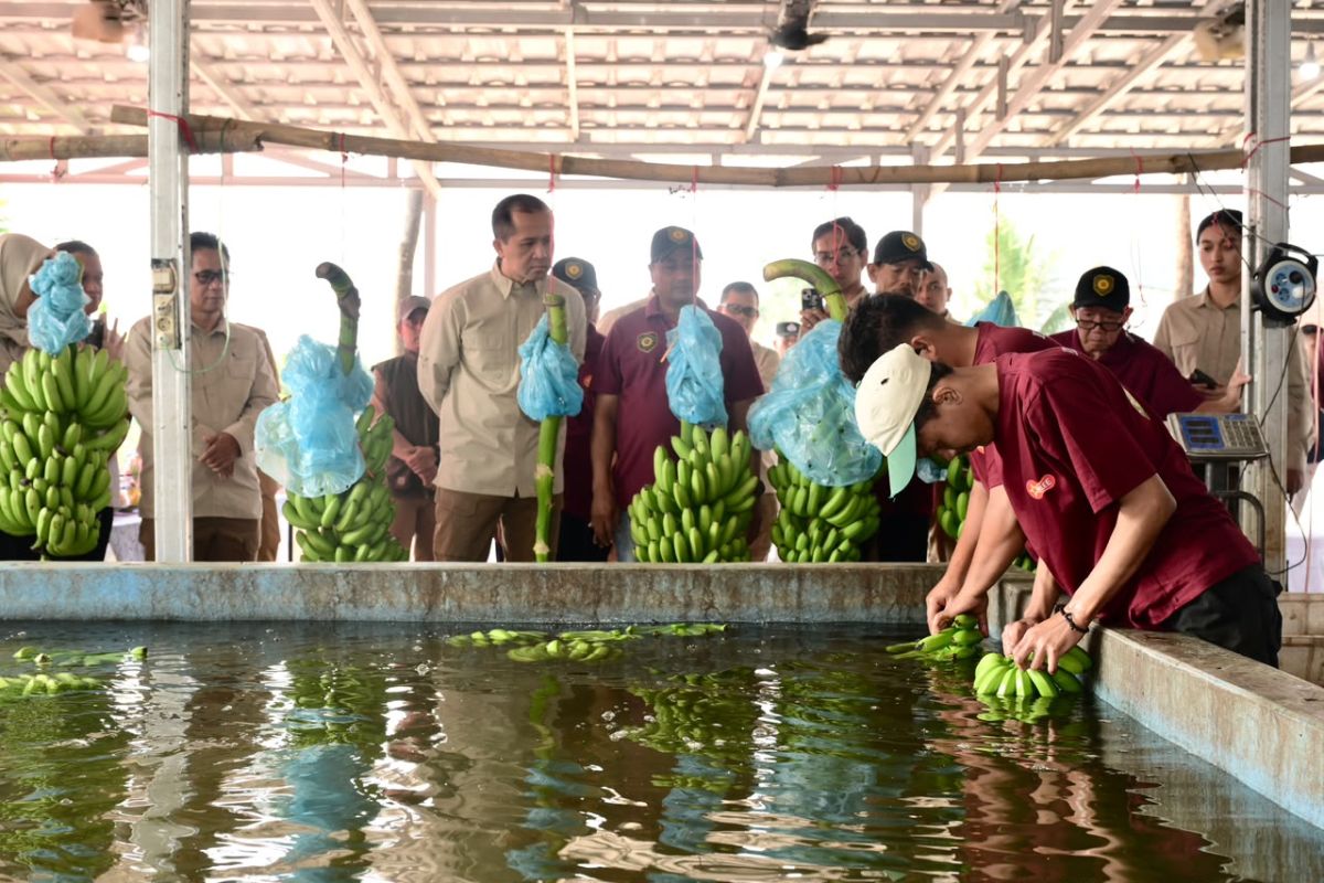 Local flagship commodities strengthen food security: Minister