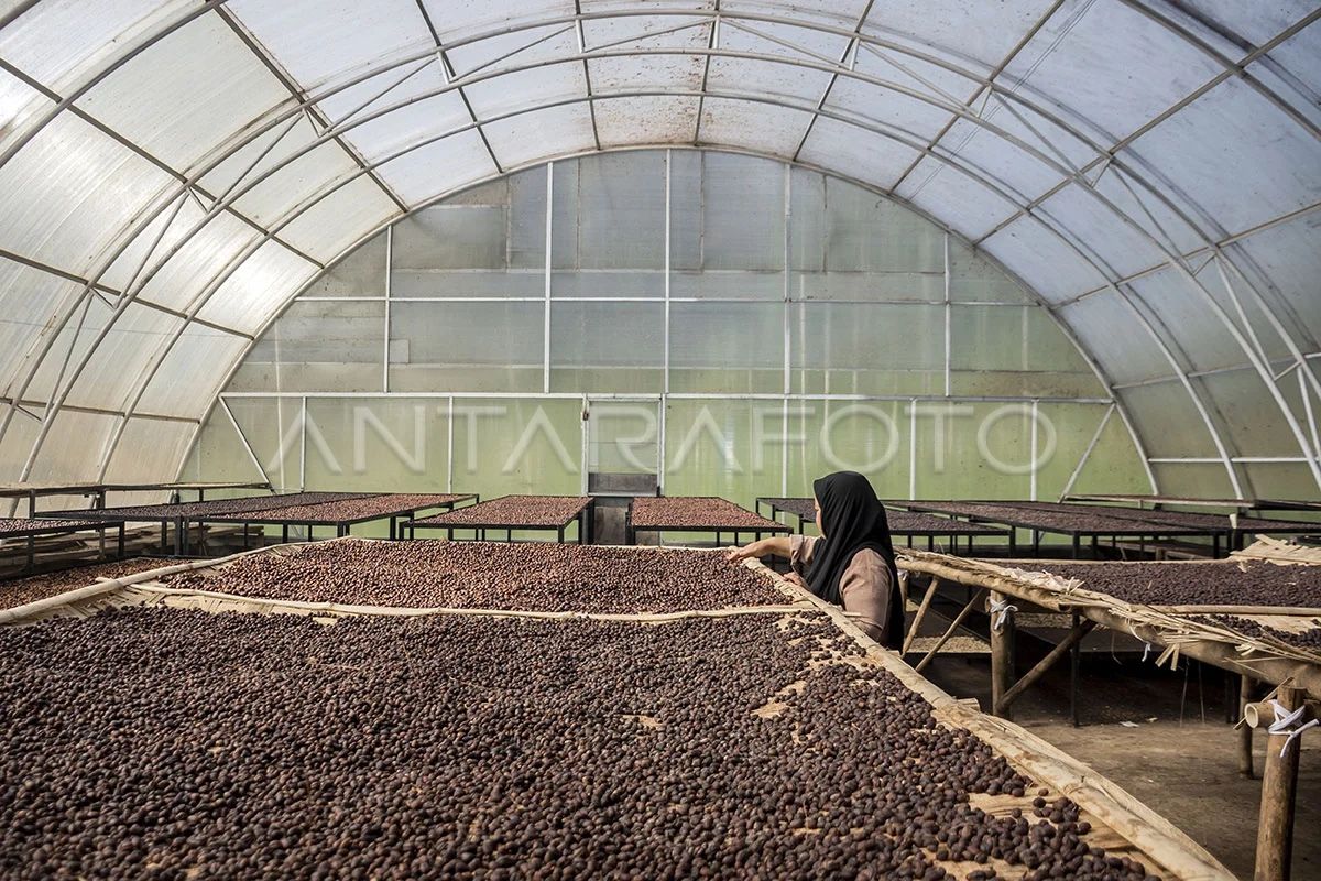 LPDB Koperasi Strengthens Sharia Financing Governance