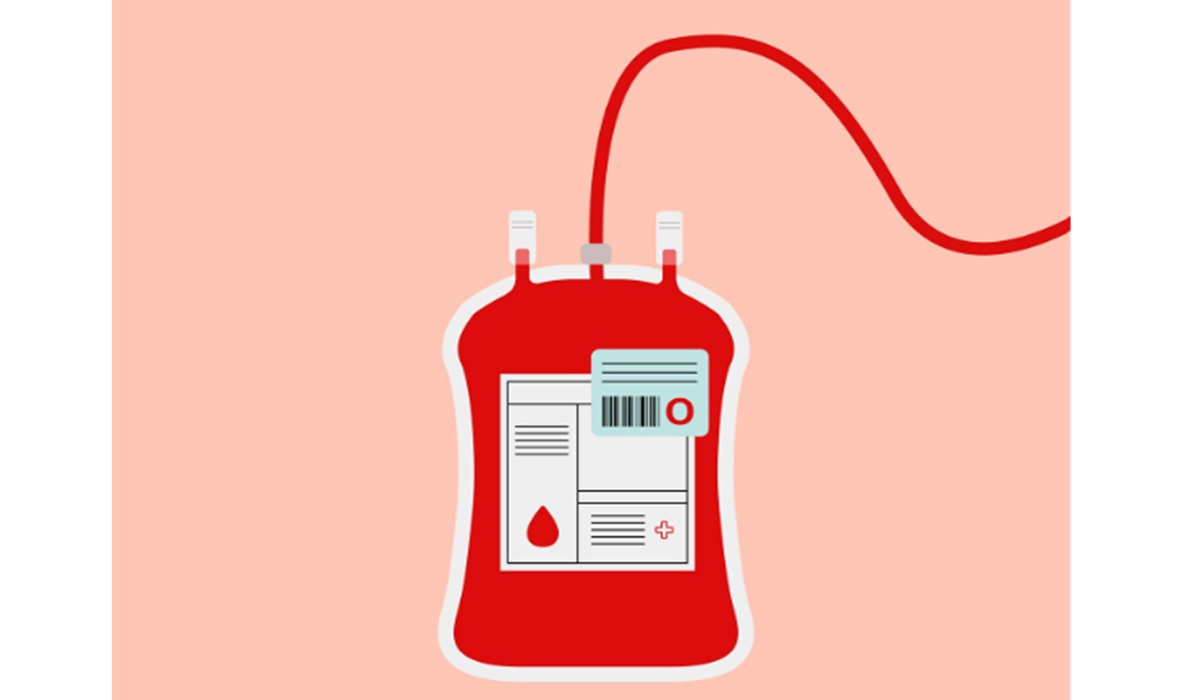 Is Blood Type O More Prone to High Cholesterol? IPB Expert Explains