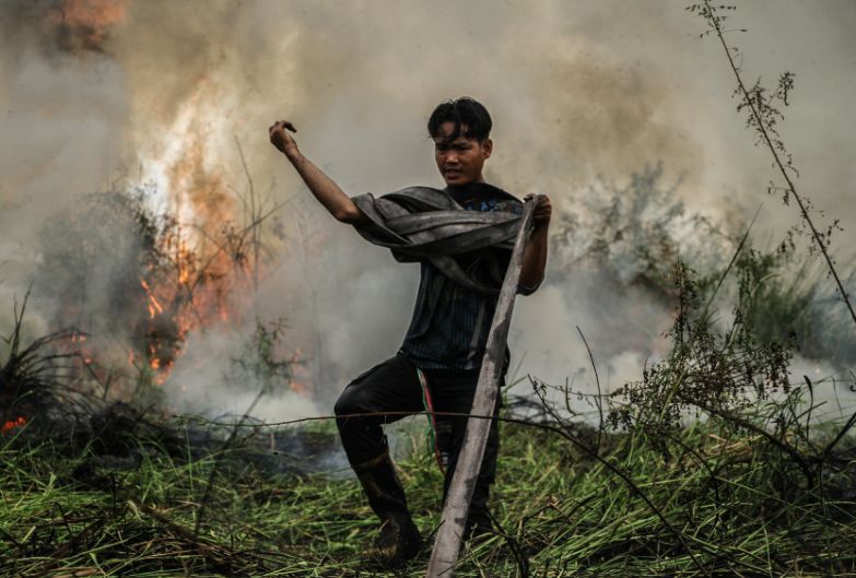 WALHI: Don't Just Extinguish Fires, Fix the Root Causes of Forest and Land Fires