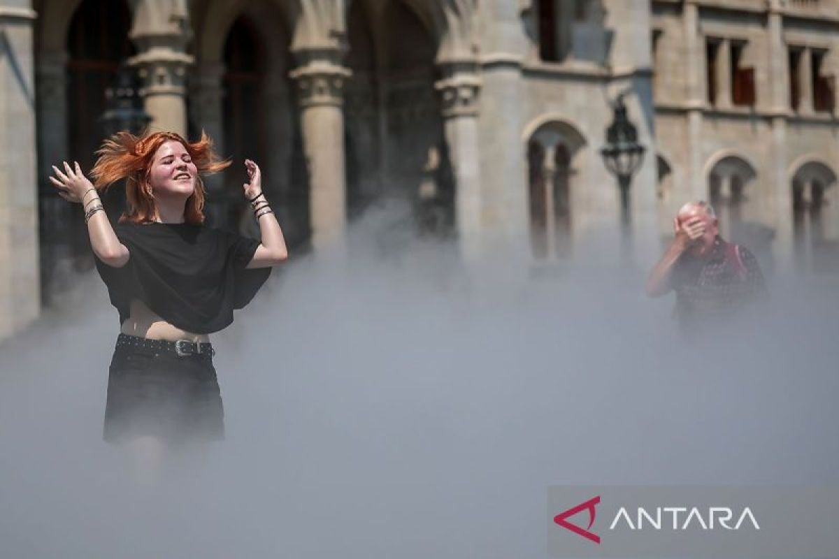 Heatwave kills at least 14,000 in Europe