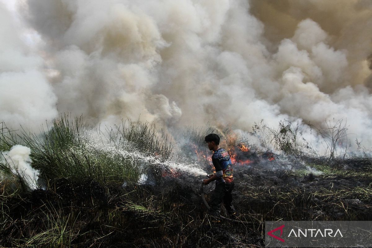 Indonesia pushes structural reform to prevent forest fires