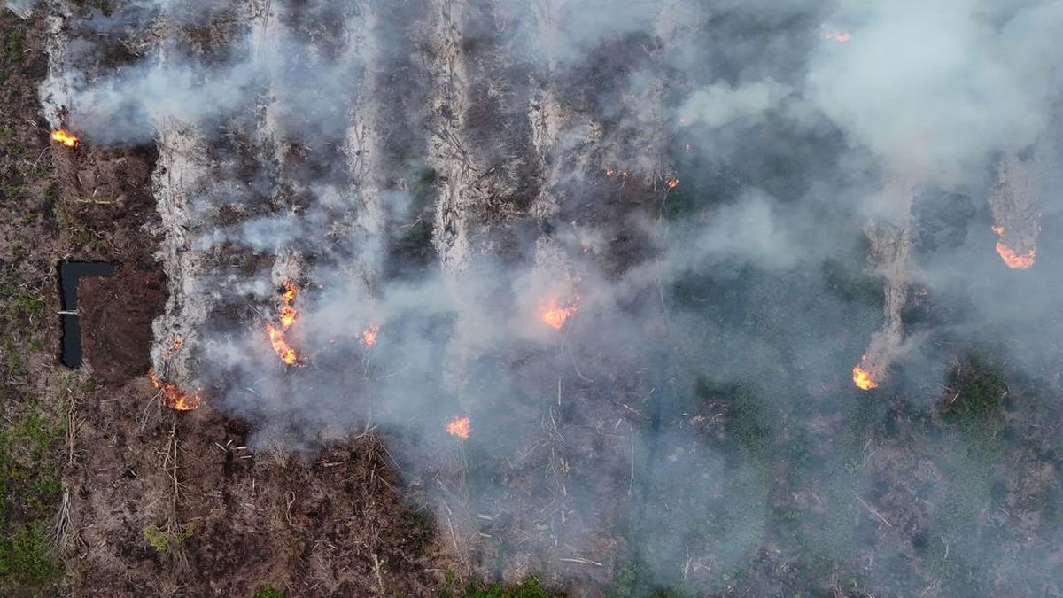 Forest and Land Fires Ravage Mount Gombak in Ponorogo, 15 Hectares Scorched