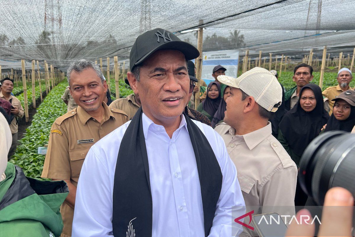 Minister: Single-Door Export Policy to Strengthen Indonesia's Bargaining Power